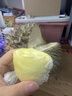京鲜生 进口金枕头鲜榴莲 3-4斤 1个装  新鲜水果 生鲜  新鲜榴莲 实拍图
