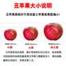 京觅四川大凉山华硕丑苹果 净4.5斤 单果70mm+新鲜水果苹果源头直发 实拍图