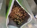 阿飞和巴弟猫粮E76益生菌全价冻干双拼全阶段猫粮2kg*5袋装10kg【宠物金选】 实拍图