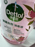 滴露（Dettol）香氛自然衣物消毒液1L*4  留香48H洗衣除汗臭 儿童玩具杀菌消毒水 实拍图
