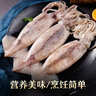 美加佳鲜冻整只大鱿鱼（2-3只） 净重550g 整条鱿鱼 深海捕捞聚餐 实拍图