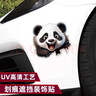 智骋汽车贴纸划痕遮挡遮盖贴画车身保险杠车门电动摩托车卡通个性创意 实拍图