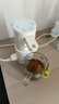 沁园（TRULIVA）即热便携饮水机 YHZY-3301W 小型台式家用烧水壶3秒速热45℃精准泡奶差旅行必备 米白色 实拍图