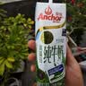 安佳（Anchor）4.4g原生高钙高蛋白全脂纯牛奶250mL*24盒新西兰原装进口草饲 实拍图