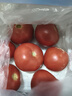 现摘沙瓤西红柿番茄可生吃现摘现发新鲜蔬菜减肥生鲜 精品小果 单果60g+ 1.5斤 净重 实拍图