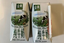 伊利【新鲜日期】金典纯牛奶整箱 200ml*12盒3.6g乳蛋白礼盒装 6月产 实拍图