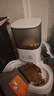 霍曼（Homerun）宠物智能自动喂食器猫粮定时猫咪自动投食机陶瓷双碗增高版PF20 实拍图