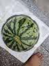 劲仔【王俊凯推荐】深海小鱼 香辣味 300g/盒 20包  鱼仔鱼干海味零食 实拍图