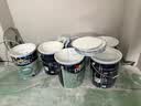 多乐士（Dulux）京绽竹炭抗甲醛五合一净味室内乳胶漆墙面抗菌油漆涂料白色A8146P 配套底漆 A749 18L 实拍图