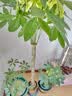 京东绿植发财树大型盆栽客厅室内真绿植办公室开业送礼招财树1.3m源头直发 实拍图