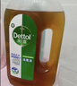 滴露（Dettol）消毒液洗衣衣物消毒水750mL 除螨杀菌混洗无忧 家居地板消毒 非84 实拍图