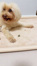 麦富迪 狗狗零食 清口香混合味220g成幼犬磨牙棒训练奖励洁齿宠物零食 实拍图