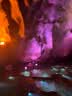 三只松鼠高蛋白肉脯500g量贩箱装靖江风味鸡肉猪肉干休闲零食团购 实拍图