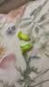 宜家依隔音耳塞睡眠超强级防噪音降噪专用睡觉打呼噜静音女生不伤耳朵 实拍图