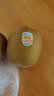 佳沛（zespri）新西兰 阳光金奇异果12粒特大果单果124-146g 猕猴桃水果礼盒 实拍图