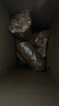 嘉士利饼干零食营养早餐甜薄脆饼干黑白芝麻口味1580g送礼零食礼盒 实拍图
