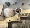 鲁南顺发黑猪排骨 （含脆骨10%）肋骨猪肉生鲜 净重4斤 源头直发 实拍图
