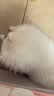 稚优泉罐罐腮红泥03甜桃蜜瓜色膨胀收缩色高光修容哑光生日礼物送女友 实拍图
