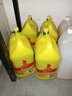 金鱼洗洁精大桶5kg*4瓶（整箱）食品用级洗涤灵餐具果蔬清洗剂 实拍图