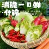 老坛子活泡菜袋装 什锦泡菜 四川眉山泡菜东坡活泡菜 方便菜即食下饭菜 活泡菜爽口什锦 500g*2袋 实拍图