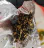 秋田满满高钙高铁DHA肉肉拌饭海苔碎6g 尝鲜装 实拍图