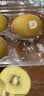 佳沛（zespri）新西兰阳光金奇异果 8个装 特大果单果重约124-146g 水果猕猴桃 实拍图