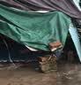 源兴（YUANXING）加厚油布防水布防雨布篷布户外防雨防晒布pvc遮雨布货车帆布2*2米 实拍图