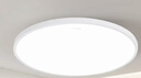 正泰吸顶灯LED卧室灯阳台过道灯具超薄三防灯白光高亮灯饰24W正白光 实拍图