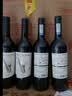 CANIS FAMILIARIS布多格澳洲原瓶进口红酒 西拉干红葡萄酒 750ml 单瓶装 实拍图