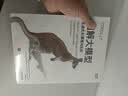 图解大模型+图解DeepSeek技术 京东套装2册 图灵出品 实拍图