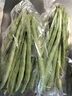 四季豆300g(架豆） 实拍图