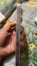 Apple【24期免息0首付】Apple iPhone 14 ProMax苹果14promax 国行全网通5G 双卡 苹果二手手机 银色【惊喜礼包】 【9成新】256G【现货速发+超长质保+0首付】 实拍图