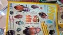 送好礼 博物杂志 青少年科普百科知识全书儿童科普大百科期刊中小学生通识教育课外阅读自然知识中国国家地理青春版掌上博物馆杂志铺2026年/2025半年/全年订阅/典藏/增刊博物君张辰亮正版 【12个月订 实拍图