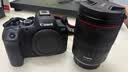 佳能（Canon）佳能r6二代 全画幅微单数码相机 R62 24-105变焦镜头 摄影摄像 高清直播 旅行拍照  扫街旅拍套装 实拍图
