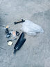 凤凰上海凤凰山地车自行车男士女式学生成人变速宽胎越野公路赛单车 【钢架/全套竞速轴承】条轮消白 26寸24速【建议身高158-188cm】 实拍图