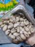三只松鼠罐装开心果1.1kg大颗粒无漂白0添加每日坚果炒货休闲零食团购送礼 实拍图