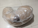 贝尚星卡皮巴拉抱枕玩偶毛绒玩具超大娃娃睡觉长条枕七夕情人节礼物女生 实拍图