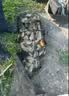 川泽高灵敏鲫鱼漂综合野钓竞技鱼漂小碎目醒目加粗漂浮抗风浪大物浮标 6-3粗尾鲤鲫漂 长45CM吃铅2.6g NA纳米全水域综合漂 实拍图