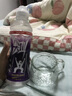 玻璃杯带盖勺小熊杯高颜值杯子办公室家用咖啡杯网红爆款水杯 1只装小熊杯（带勺子）270ml 实拍图