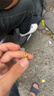 南山射钉系列南山炮钉射钉仅售装修用途迷你炮钉水电工装修 外贸S1 （6.8*11）红 100粒 实拍图