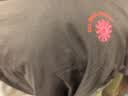 阿迪达斯（adidas）女装透气舒适潮流时尚休闲运动短袖KC4562 L 实拍图