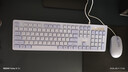 联想（Lenovo）有线键鼠套装KM220/TL21 巧克力按键有线键盘鼠标USB商务电脑办公键盘笔记本台式机一体机键盘紫色 实拍图