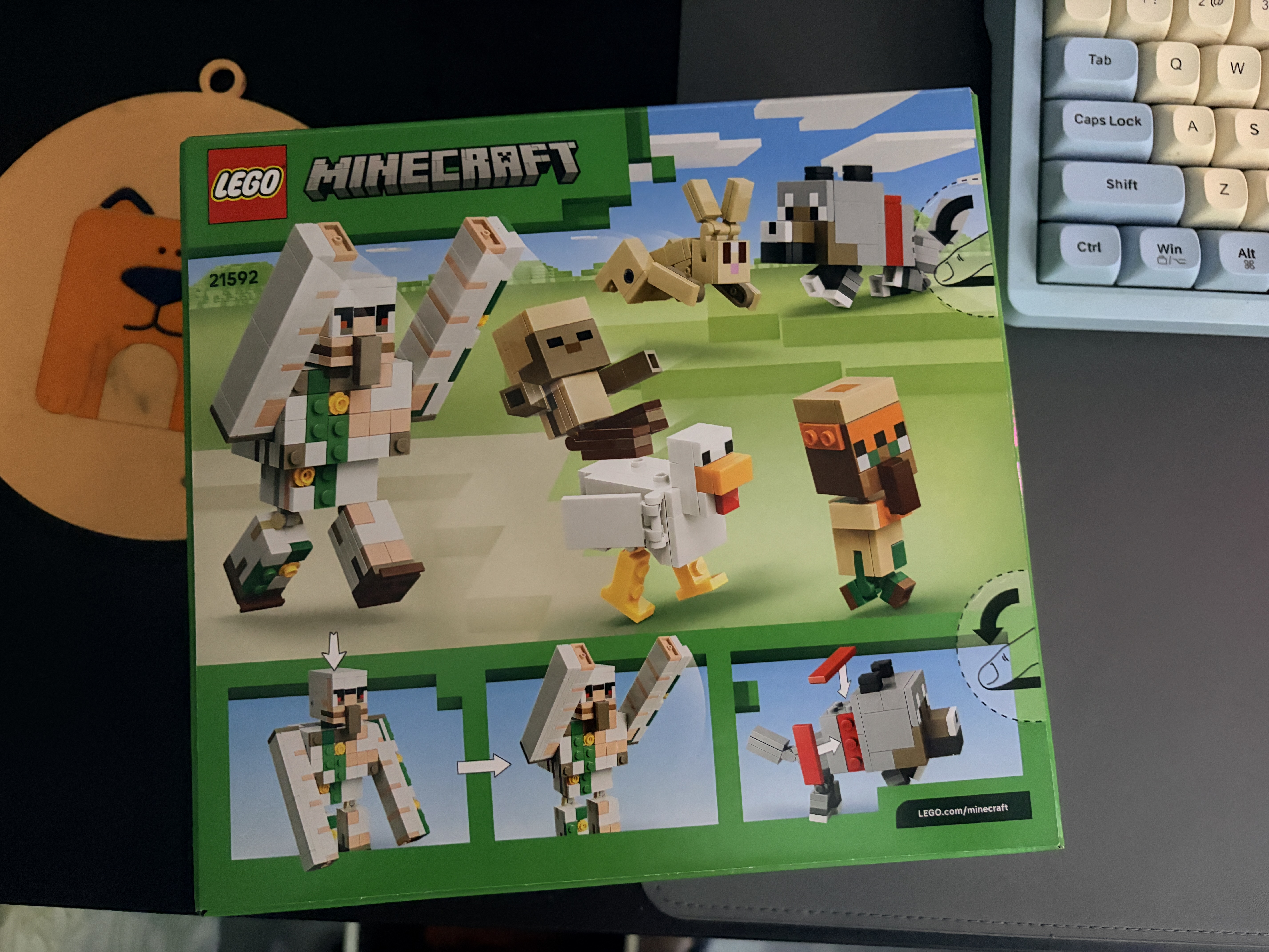 乐高（LEGO）积木我的世界21592 经典角色集合男女孩儿童玩具生日礼物 实拍图