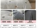 多喜爱家纺 纯棉三件套 全棉床单被罩单人学生宿舍床上用品套件1.2米床152*218cm 实拍图