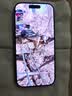 Apple/苹果 iPhone 17 256GB 鼠尾草绿色 支持移动联通电信5G 双卡双待手机 实拍图