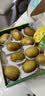 佳沛（zespri）新西兰阳光金奇异果10粒巨大果单果146-175g 猕猴桃水果礼盒 实拍图