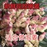 云南小黄姜新鲜老姜10斤沙姜仔姜月子姜南姜农家现挖干姜生姜批发 8.5斤 【正宗小黄姜】源头直采包邮 实拍图