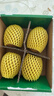 佳沛（zespri）新西兰阳光金果4粒装单果约103-114g 猕猴桃新鲜水果源头直发 实拍图