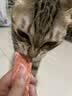 领先猫主食罐头猫咪零食湿粮全价猫粮年货红色礼盒装混合口味85g*30罐 实拍图