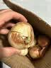 新鲜黄洋葱黄金水果洋葱即食蔬菜调料烧烤食材 新鲜黄洋葱 3斤 含箱 实拍图